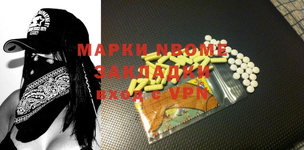 индика Карпинск